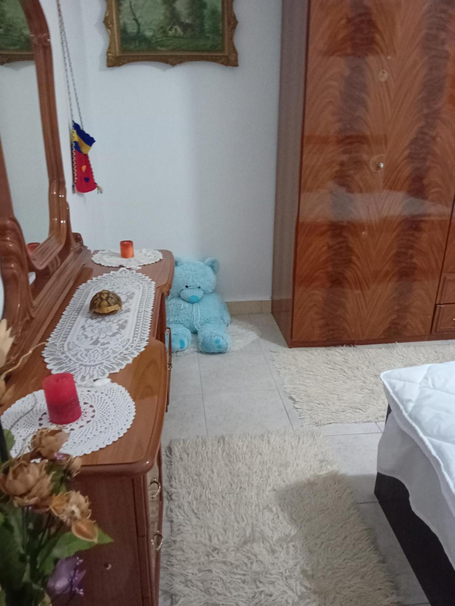Olivia Guesthouse Gjirokastër المظهر الخارجي الصورة